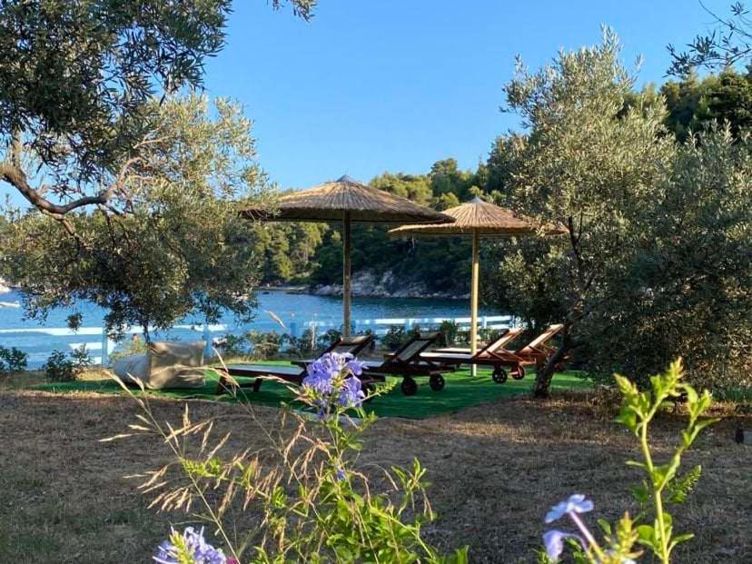Holiday home Actaea Alonnisos Town