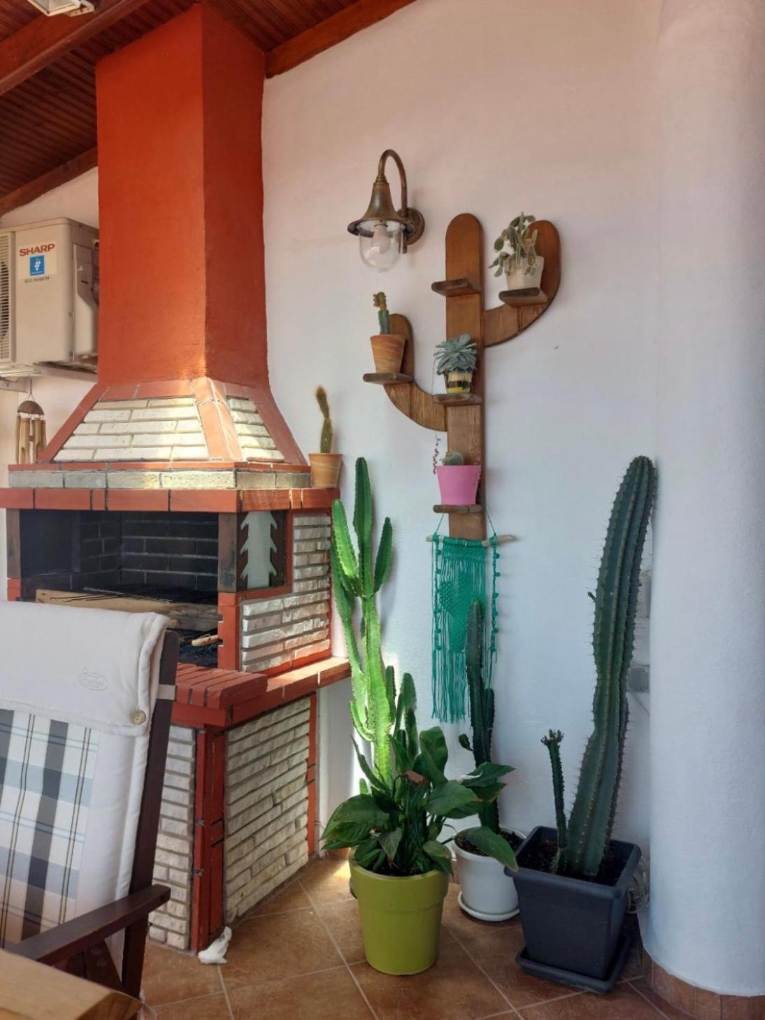 Saguaro's
