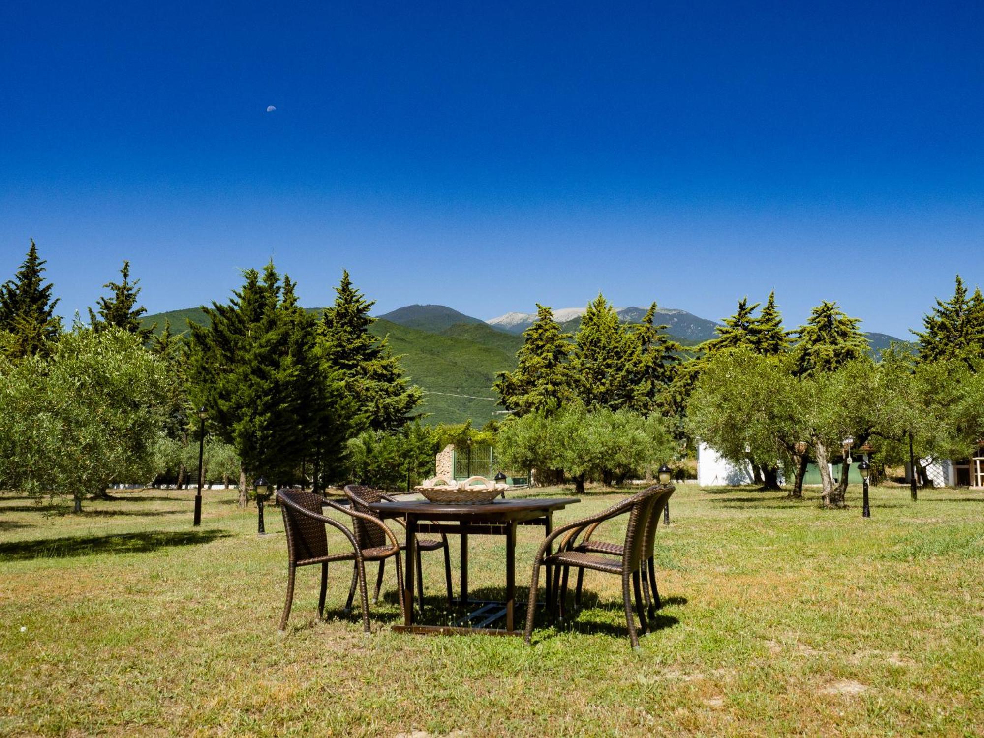 Holiday home Zeusplace Olympus Olive 1 Leptokarya (Pieria)