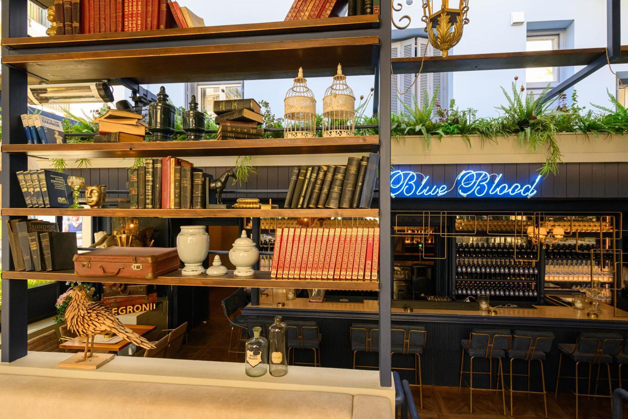 Apartment Blueblood - The *