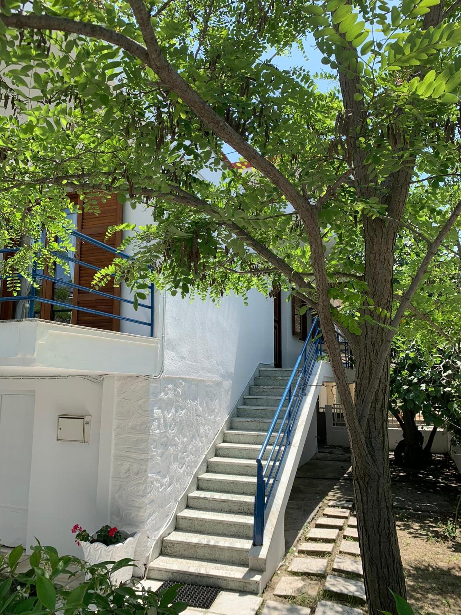 Blue Maison *