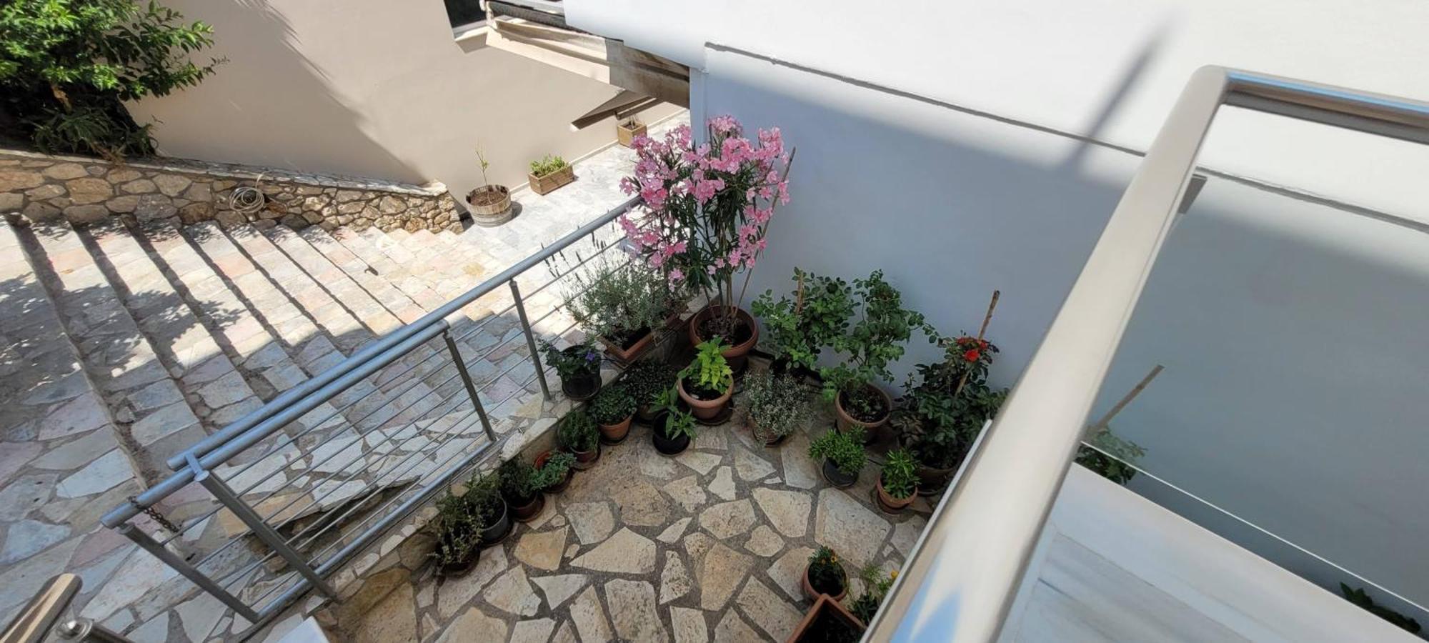 Family Apartment