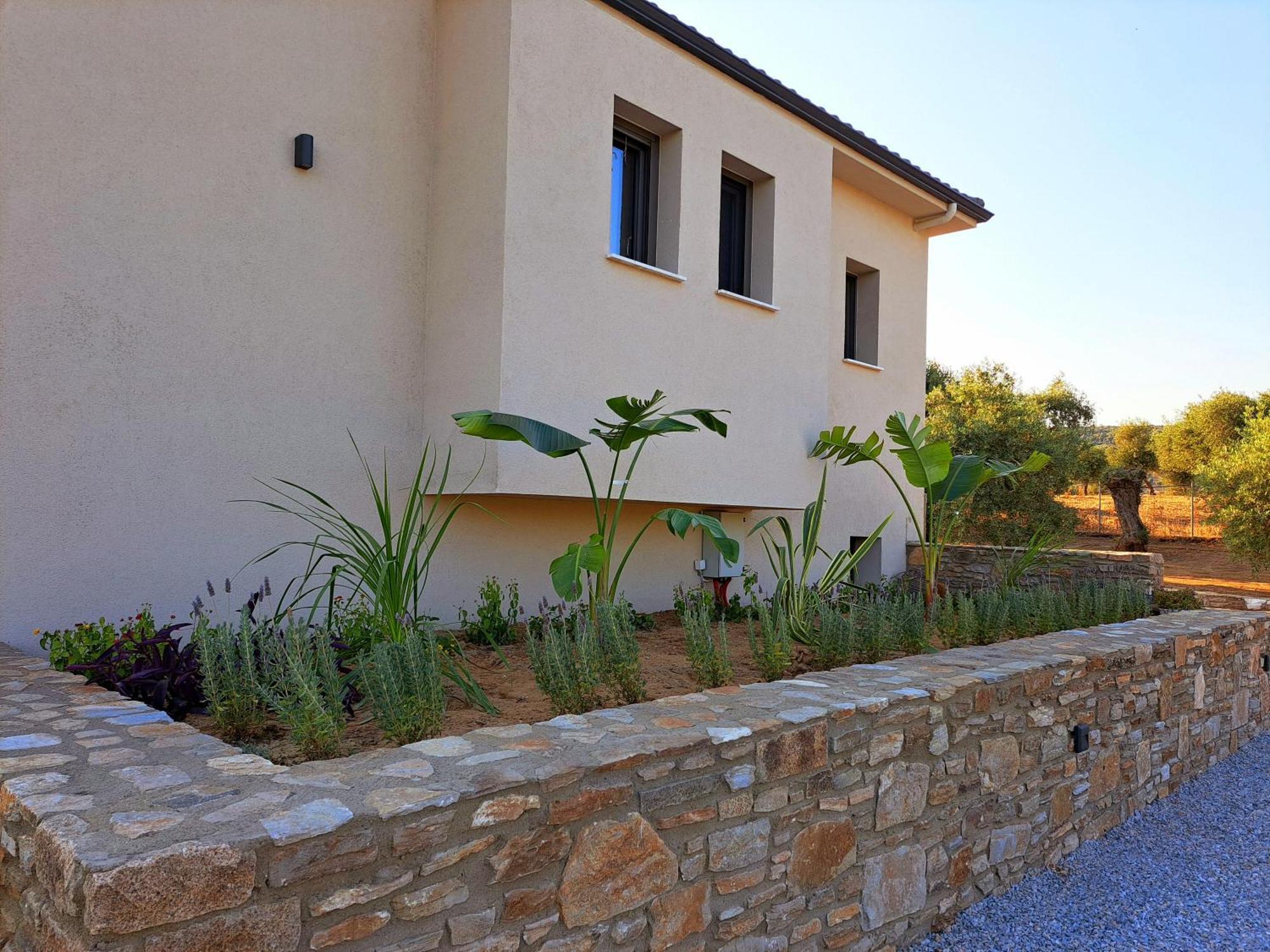 Olivista - Live In Nature Astris
