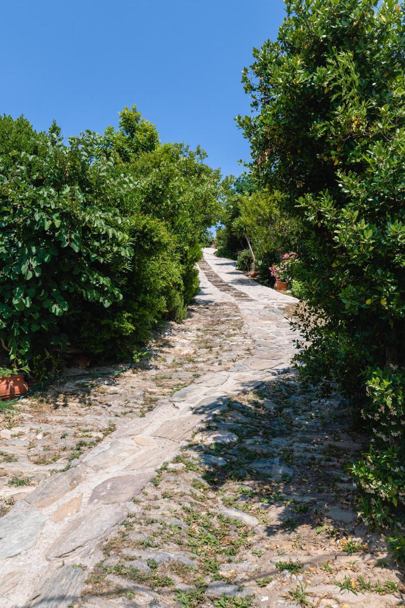 Ktima Petrina Volia- Maisonette Phos Holiday home Strapouries