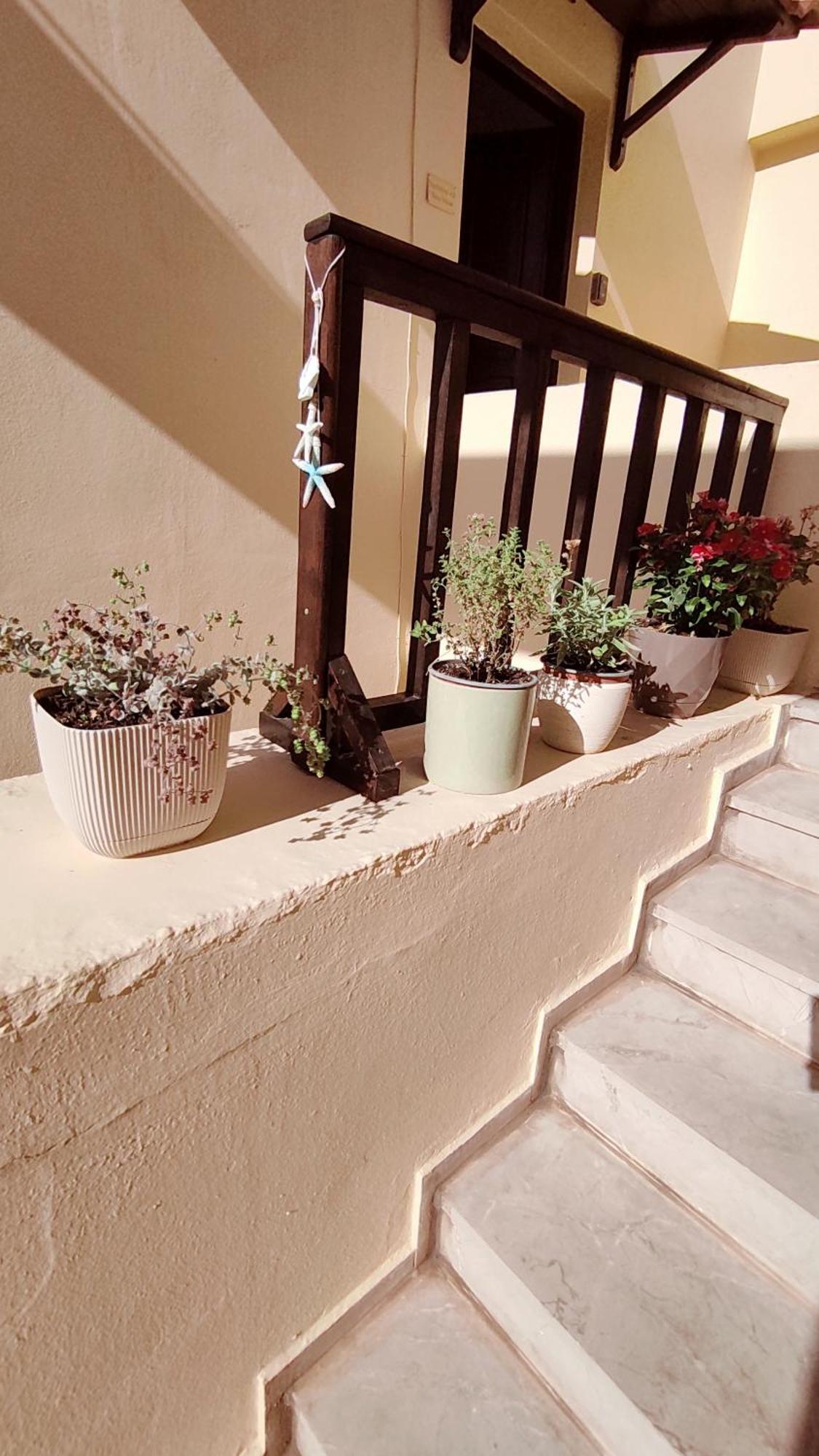 Dedalos N3 Sea View Apartment-30 Metres From The