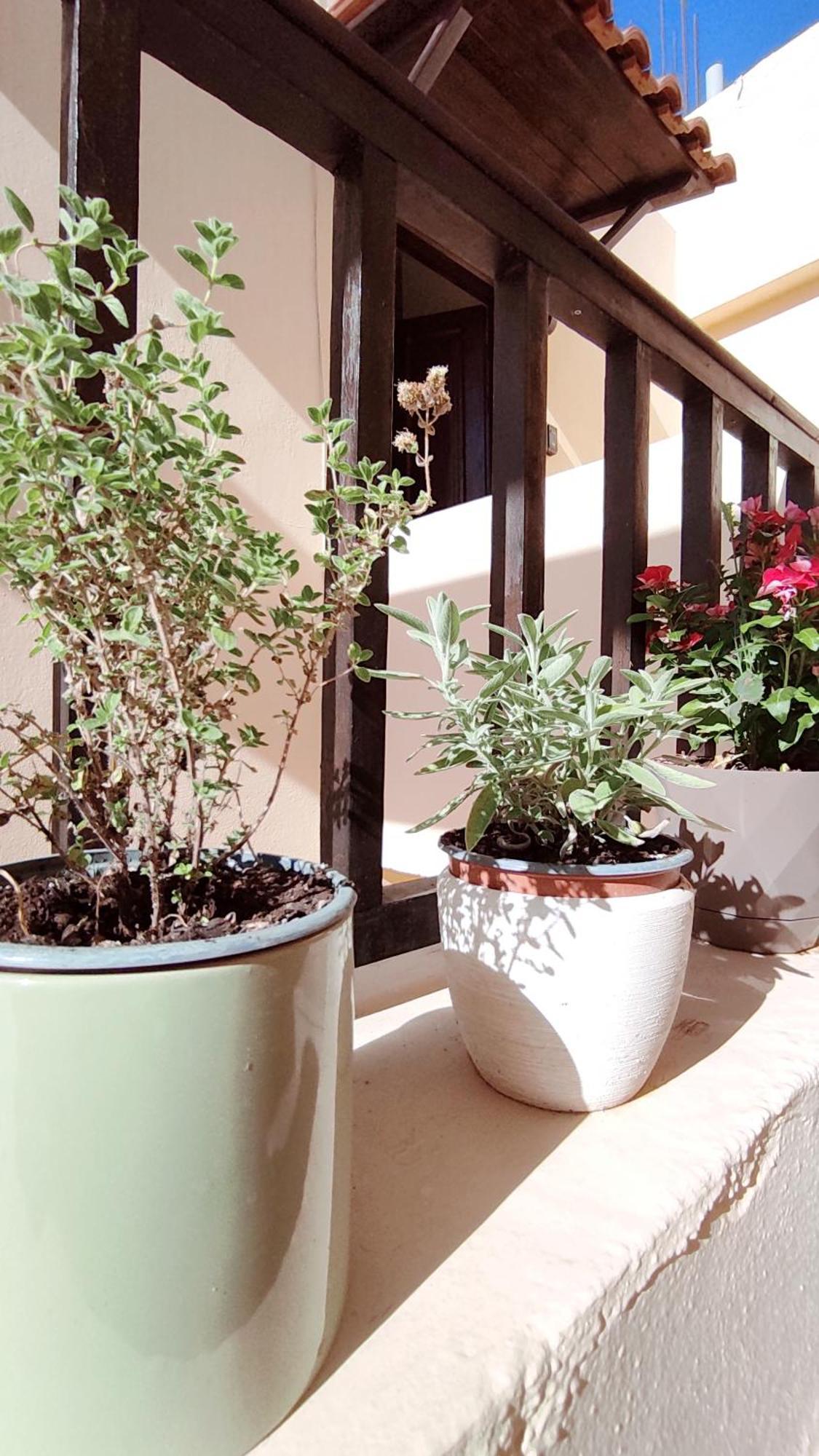 Apartment Dedalos N3 Sea View Apartment-30 Metres From The