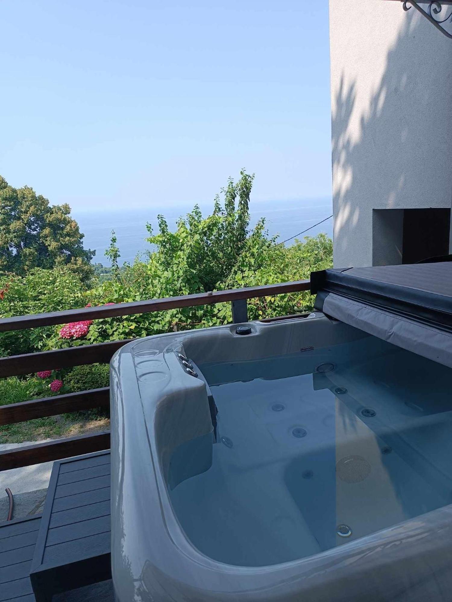 Iris Guest house