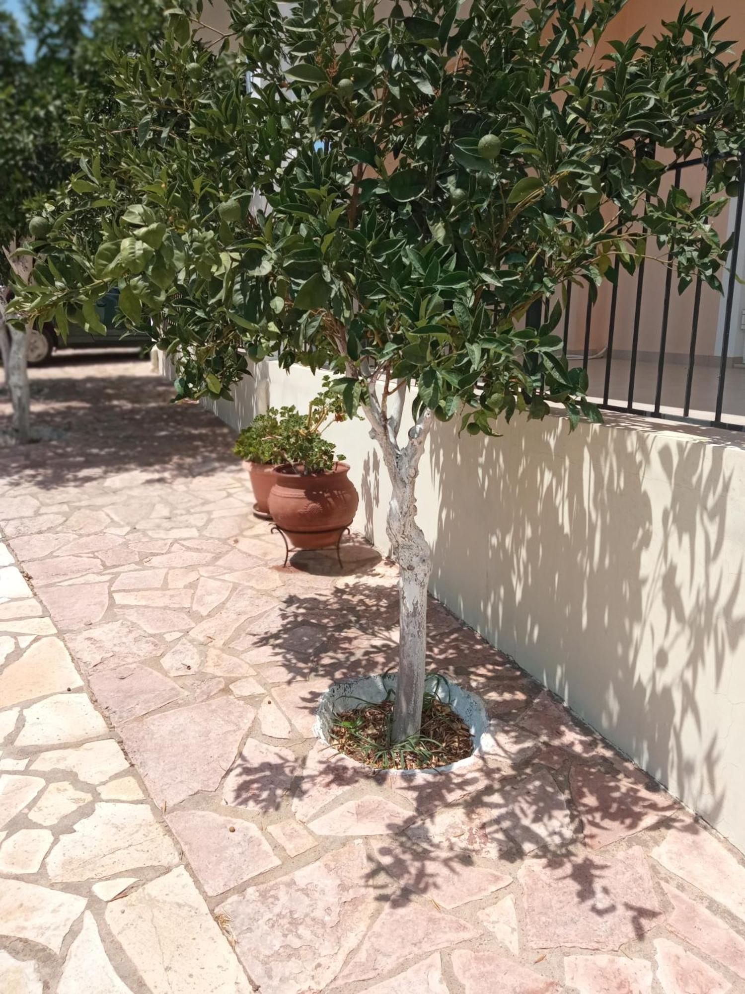 Garden Apartment Koroni (Messinia)