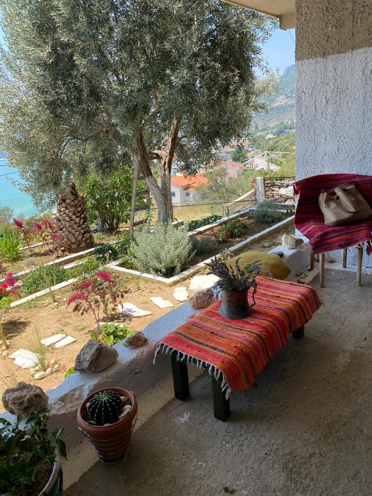 Apartment Mimoza's Sea View Palaiontsiflikion