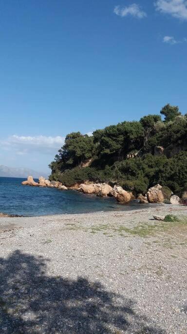 Ideal Holidays-ιδανικές εξοχικές διακοπές Holiday home Agioi Apostoloi (Attica)