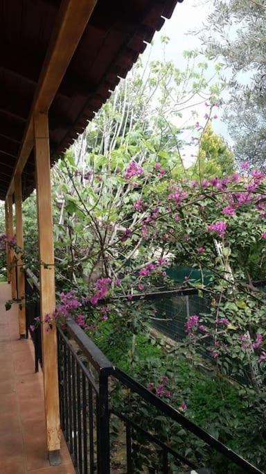Holiday home Ideal Holidays-ιδανικές εξοχικές διακοπές *