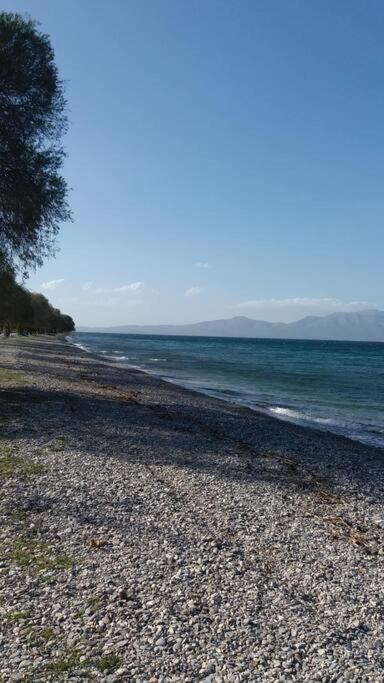 Ideal Holidays-ιδανικές εξοχικές διακοπές *