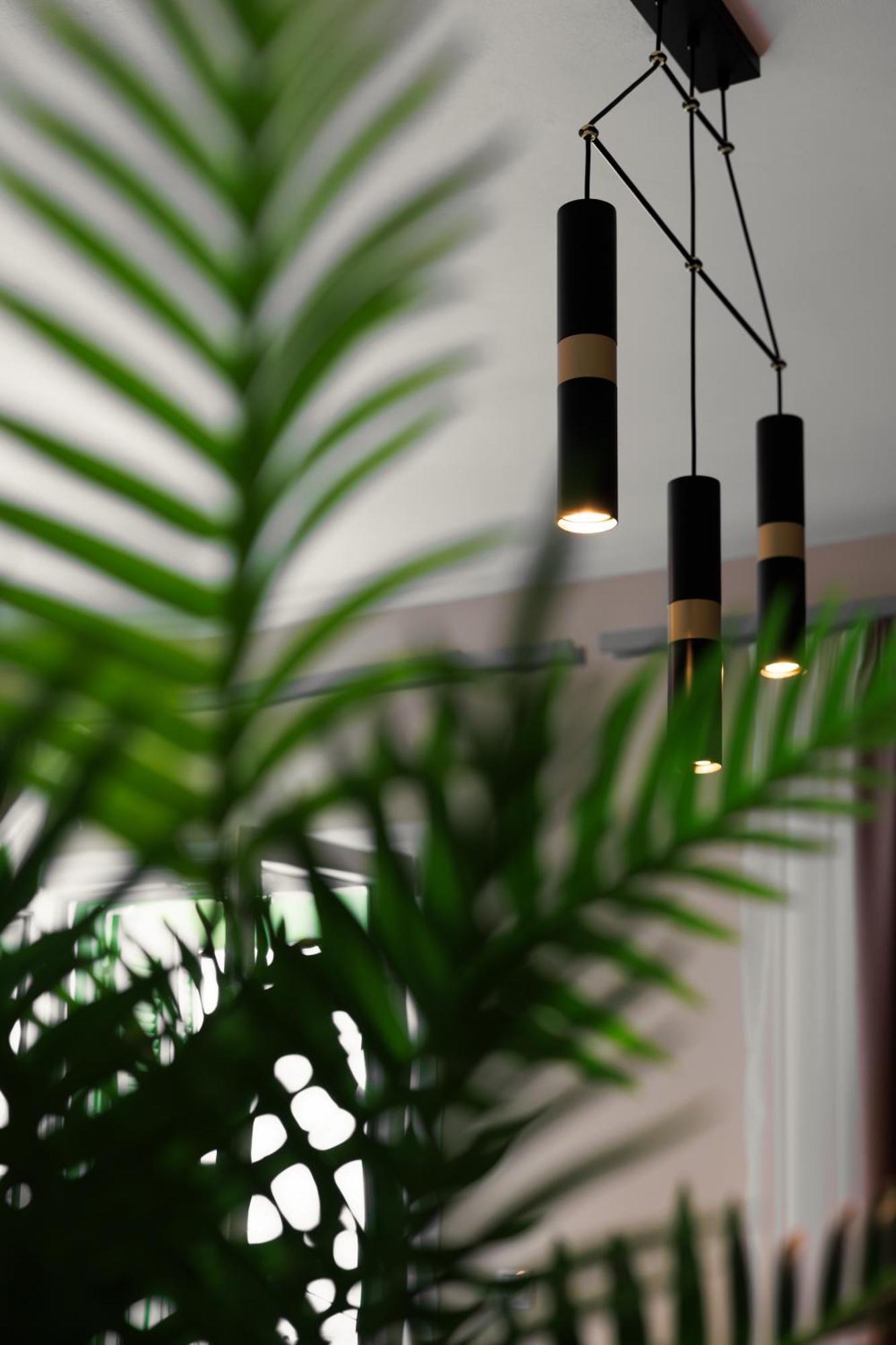 Apartment Corali Andros