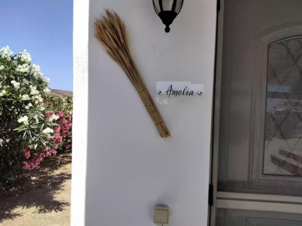 Erifili Apartment