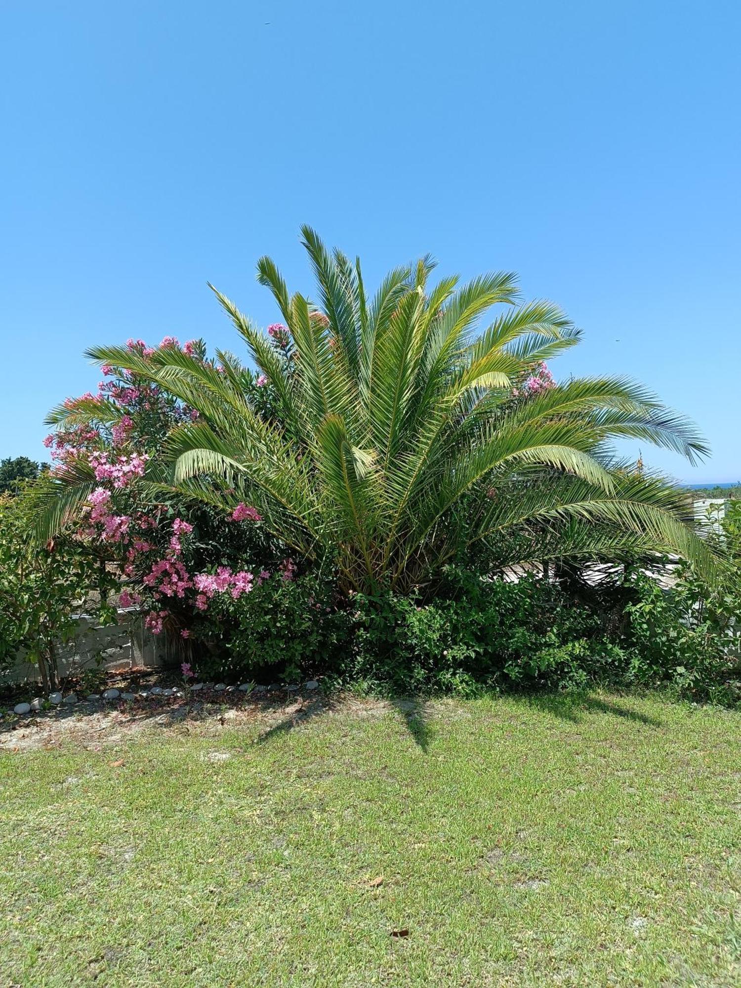 Alonia Summerhouse In Fanes Holiday home Fanes (Rhodes)