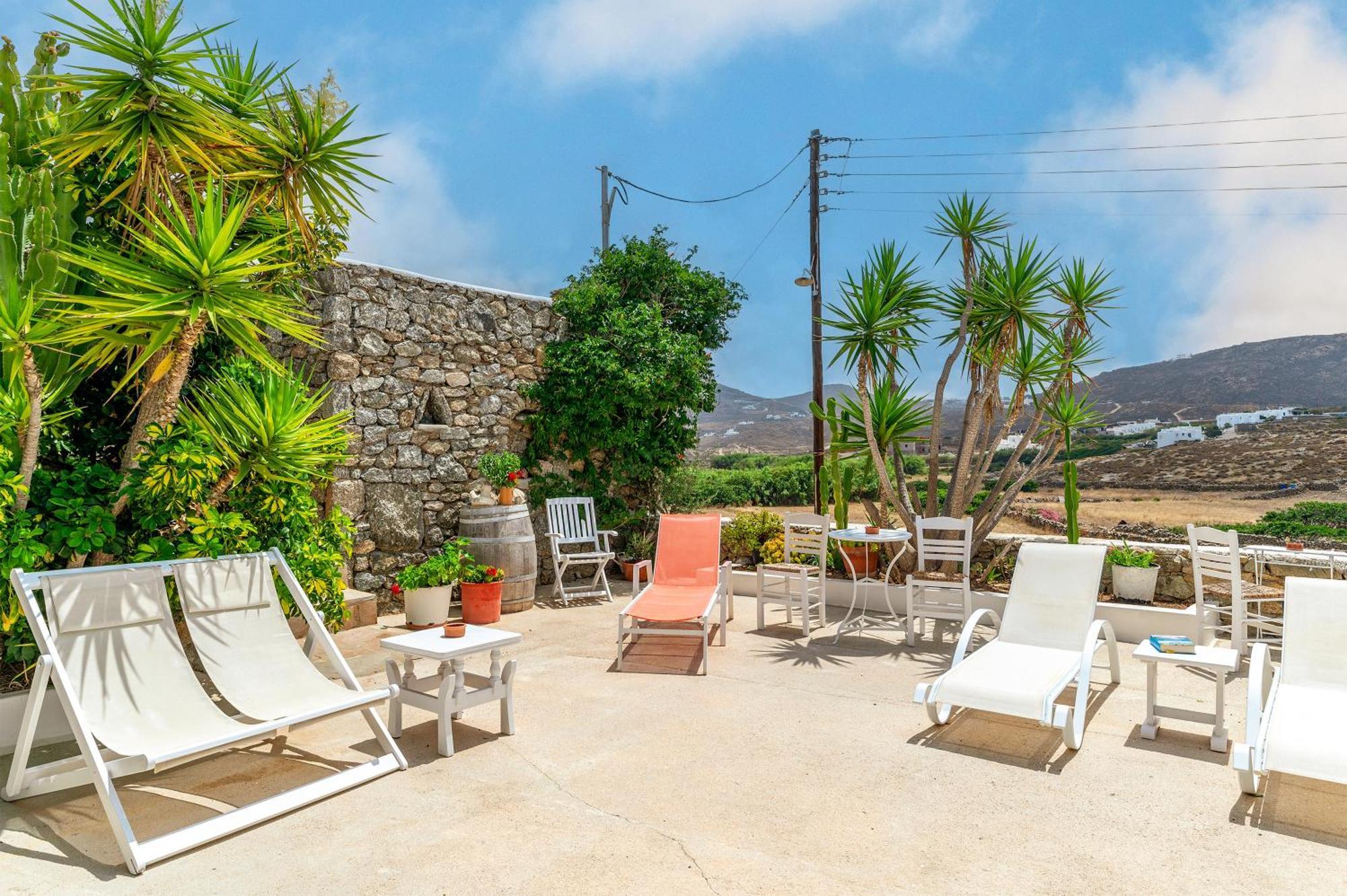 Afroditi Yasemi B Ftelia (Mykonos)