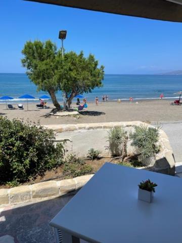 Alexander Hotel 3*