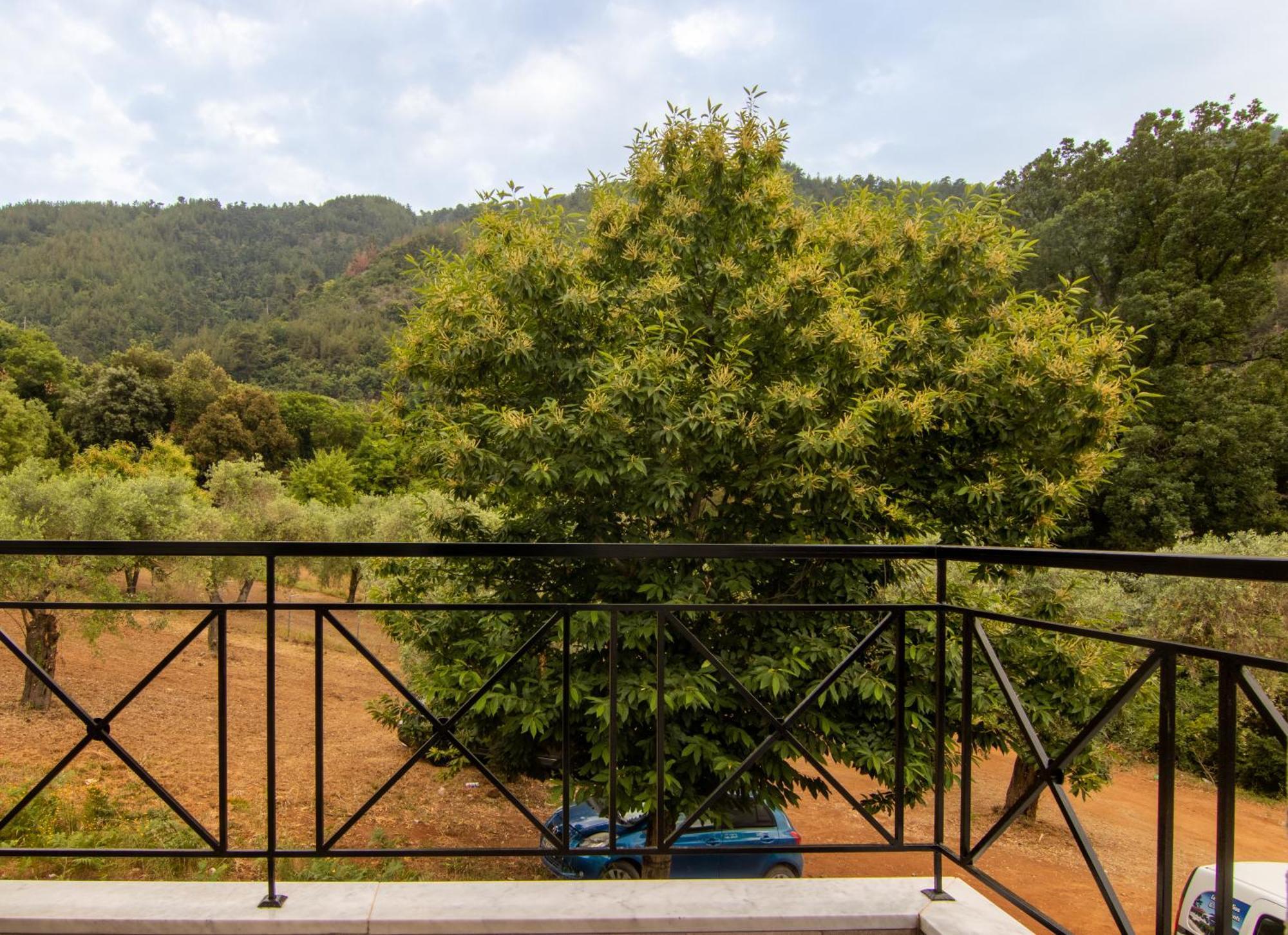 Villa Evergreen Thassos