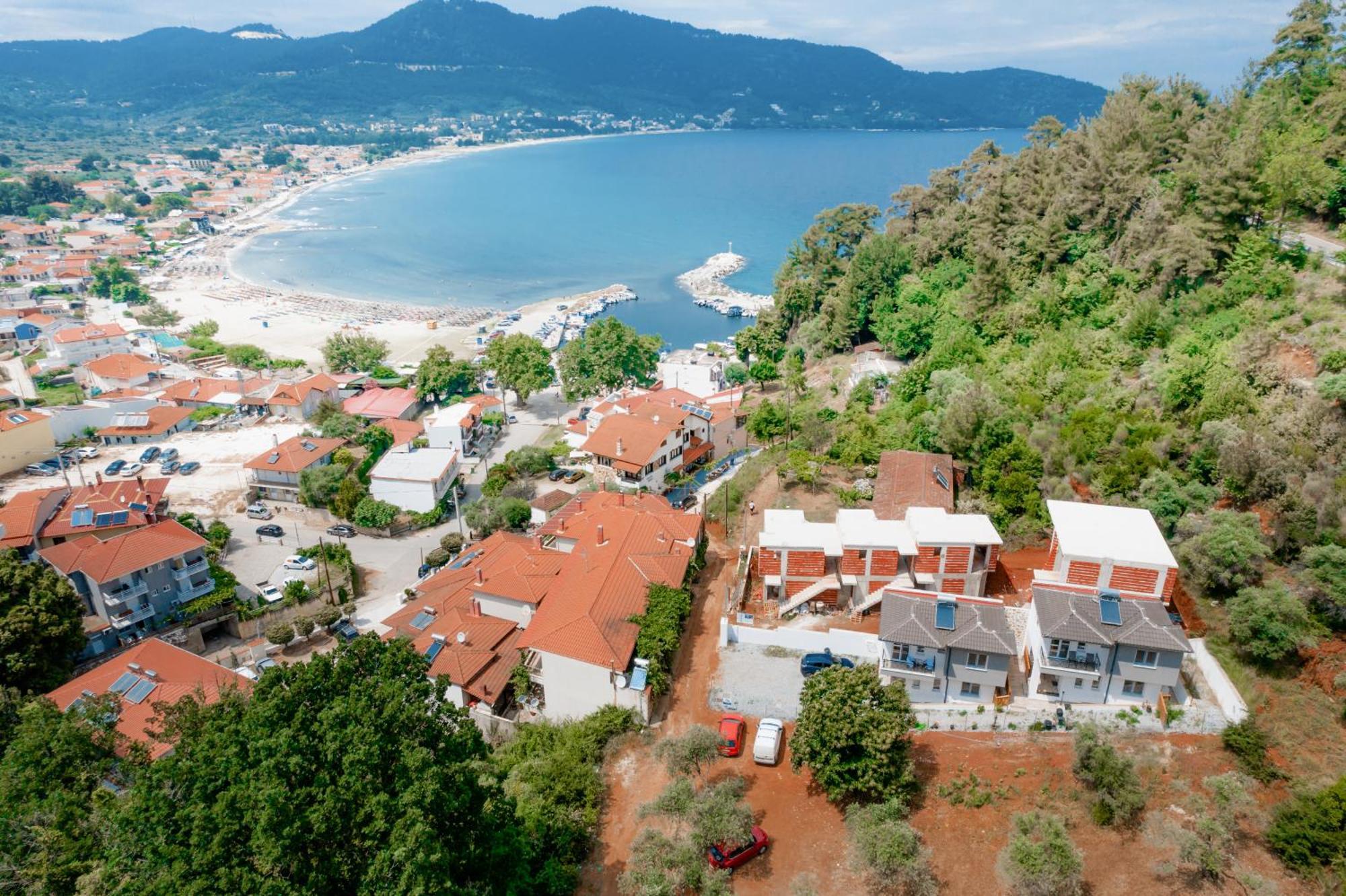 Evergreen Thassos *