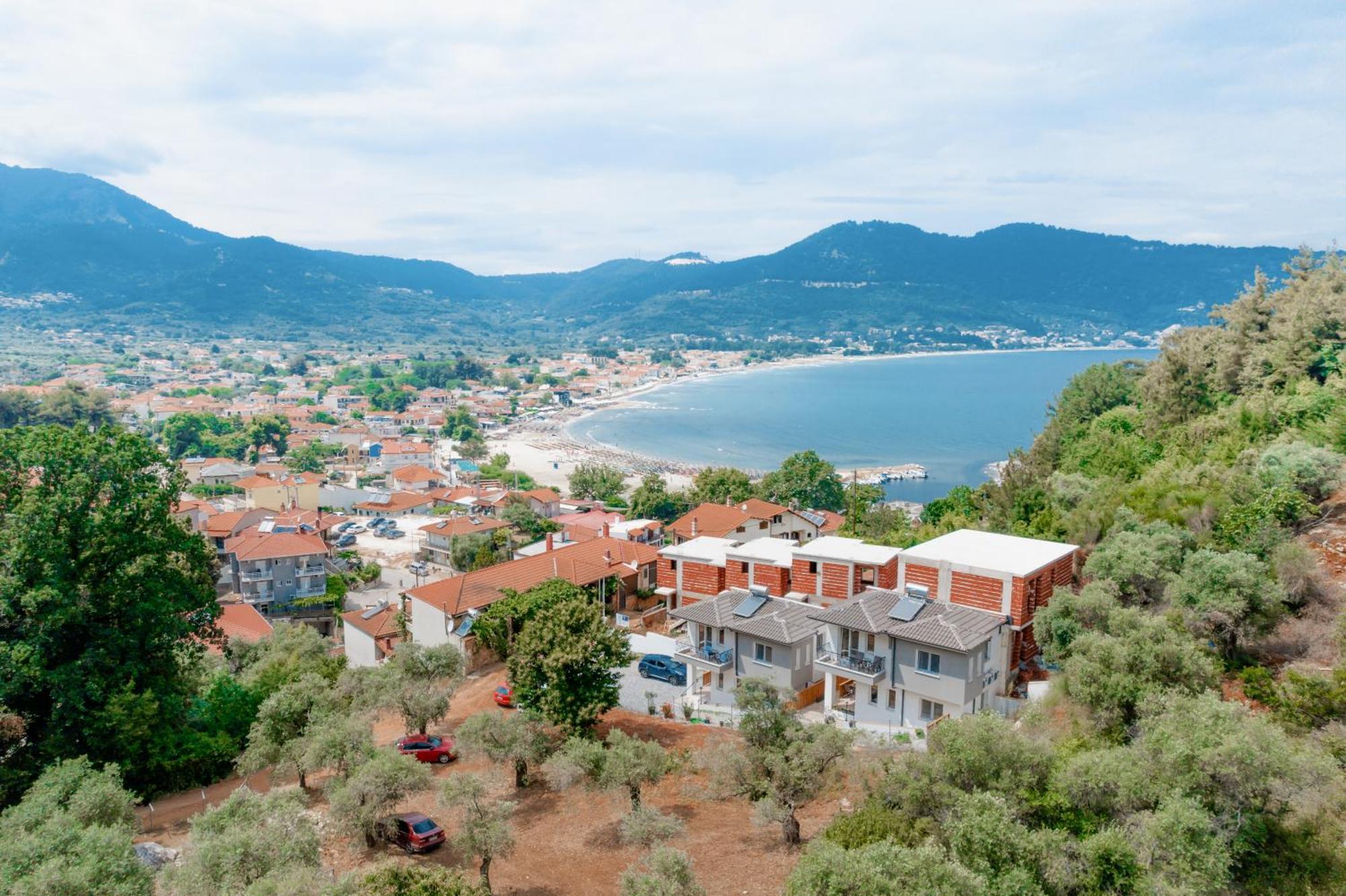 Evergreen Thassos *