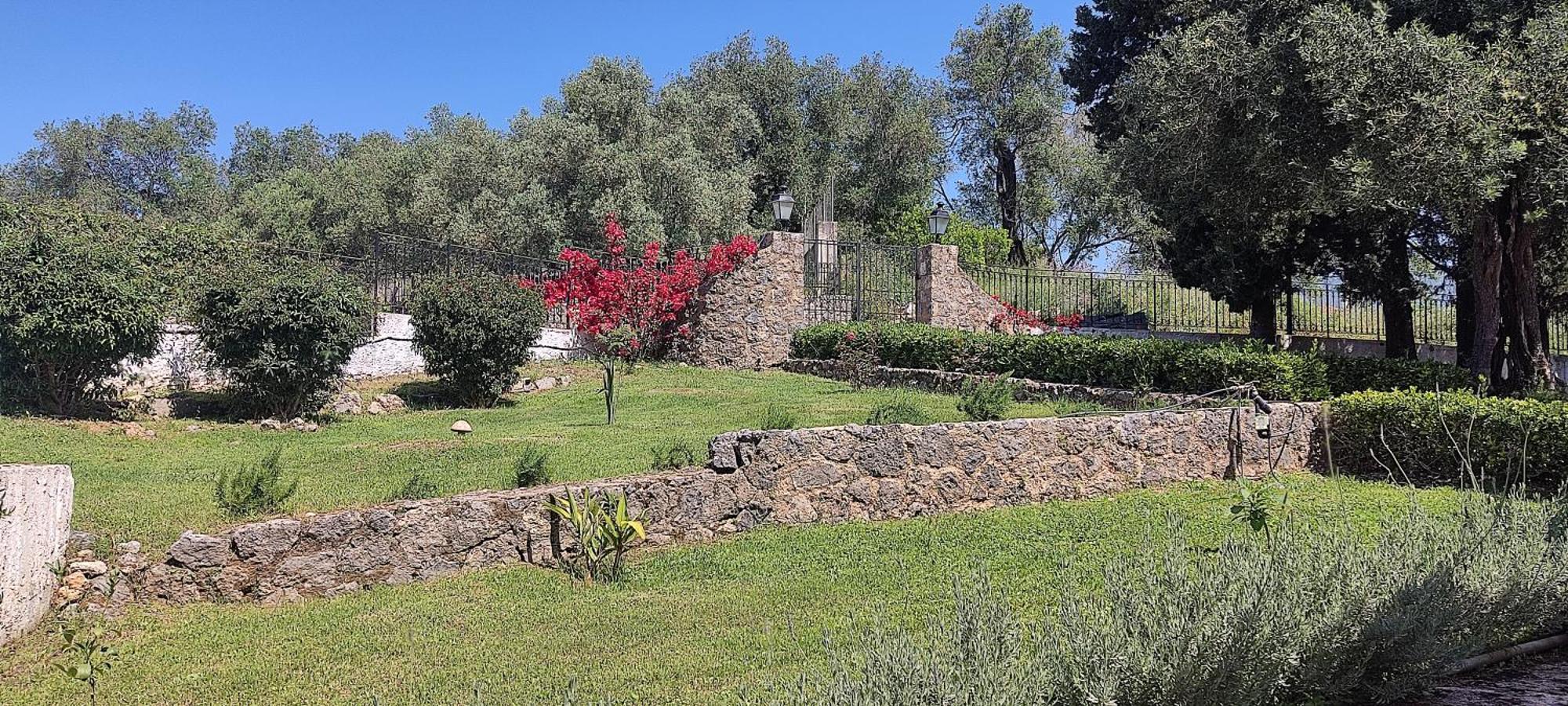 Penelope Aparthotel Dassia (Corfu)