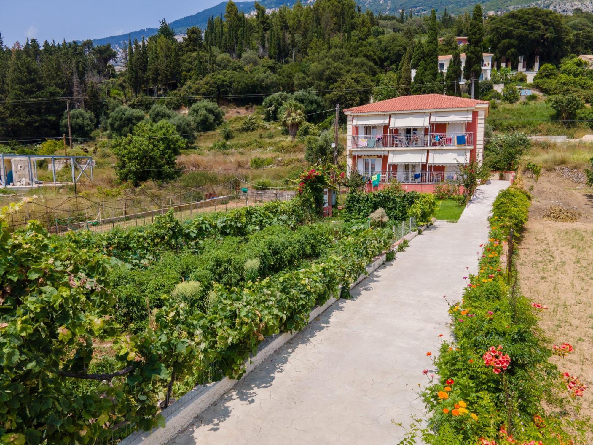 Diona Lourdata (Kefalonia)
