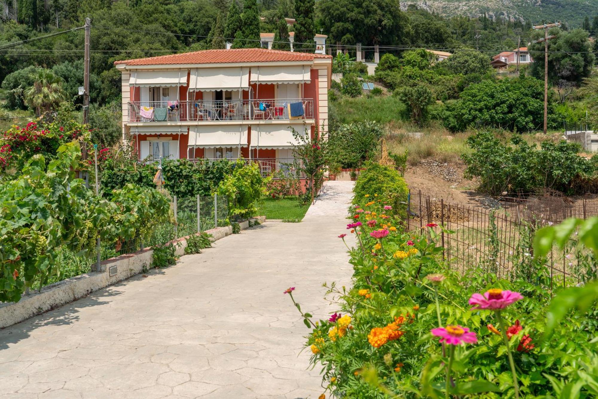 Apartment Diona Lourdata (Kefalonia)