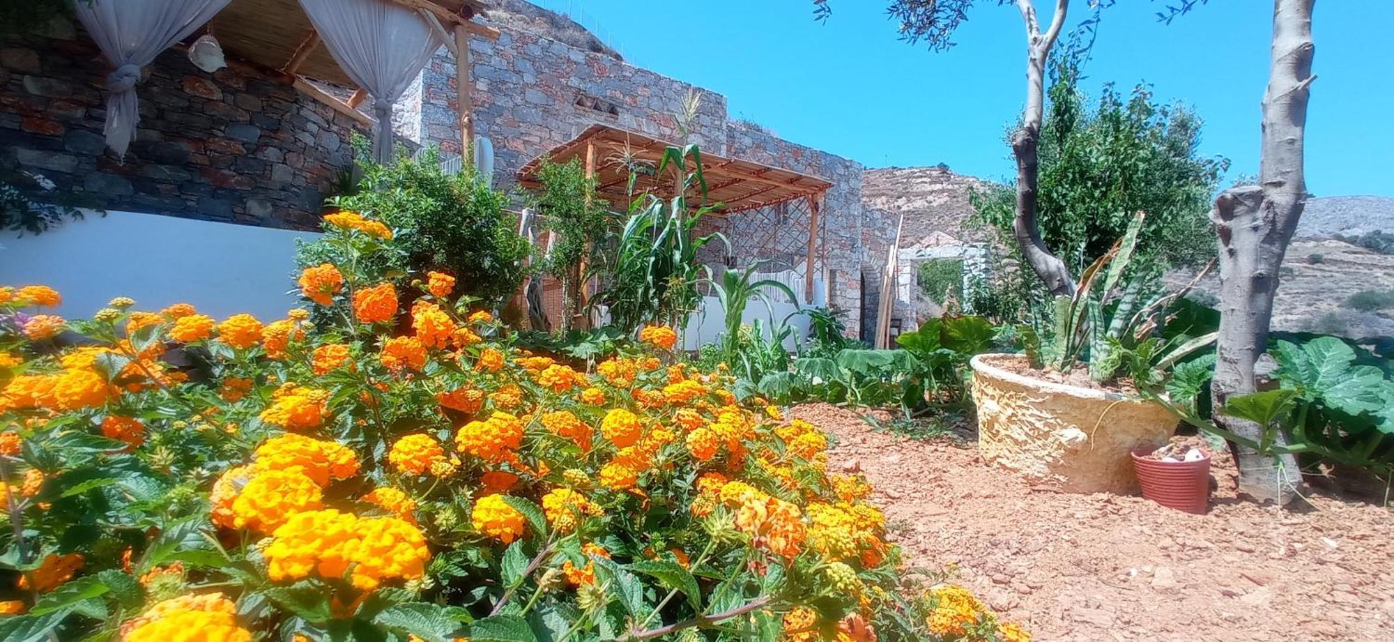 Guest house Aliori Art Caves Aegiali