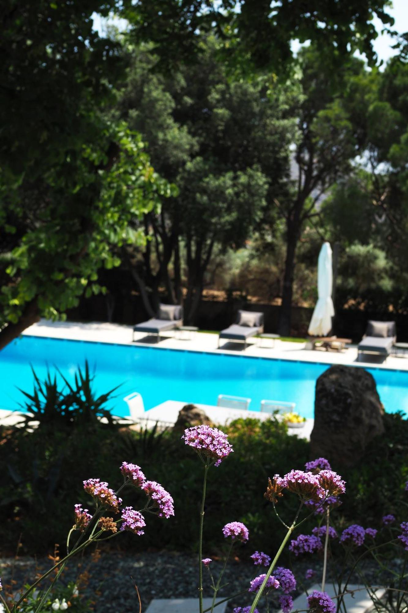 Oasis With Large Pool Athenian Riviera Lagonissi