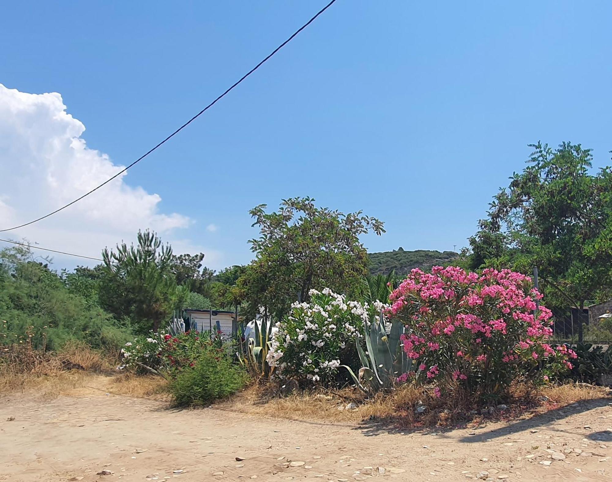 Doukas By The Sea-little Paradise-beachfront *