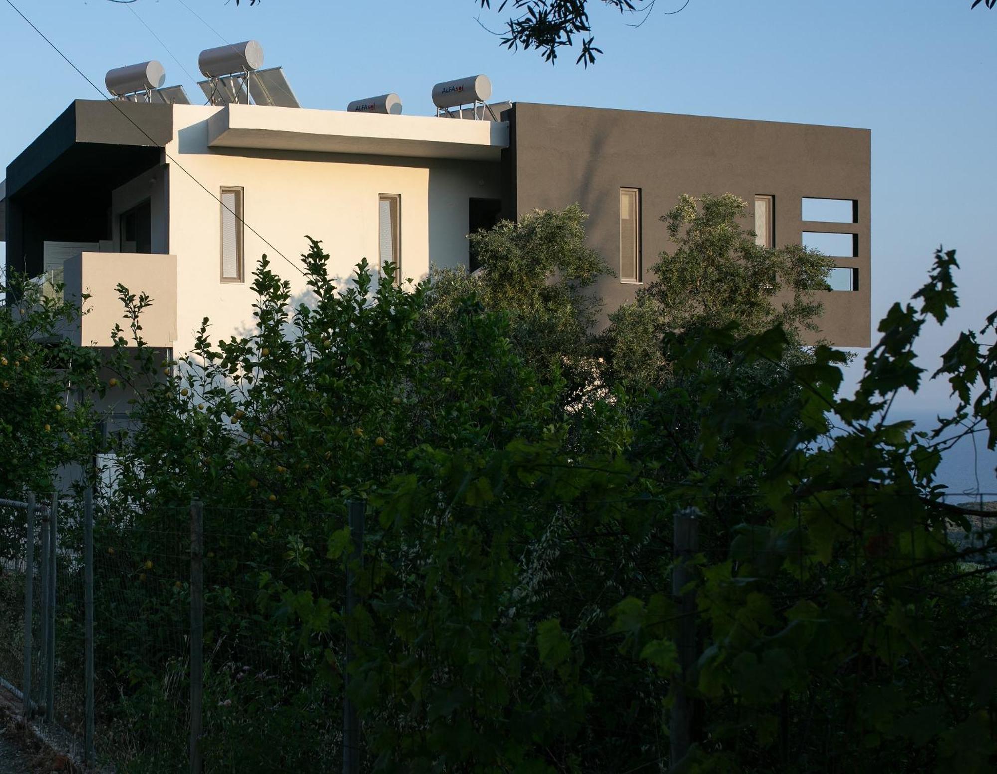 Anassa *