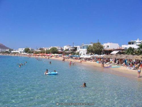 Dolphin * Agia Anna (Naxos)