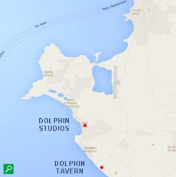 Dolphin Agia Anna (Naxos)