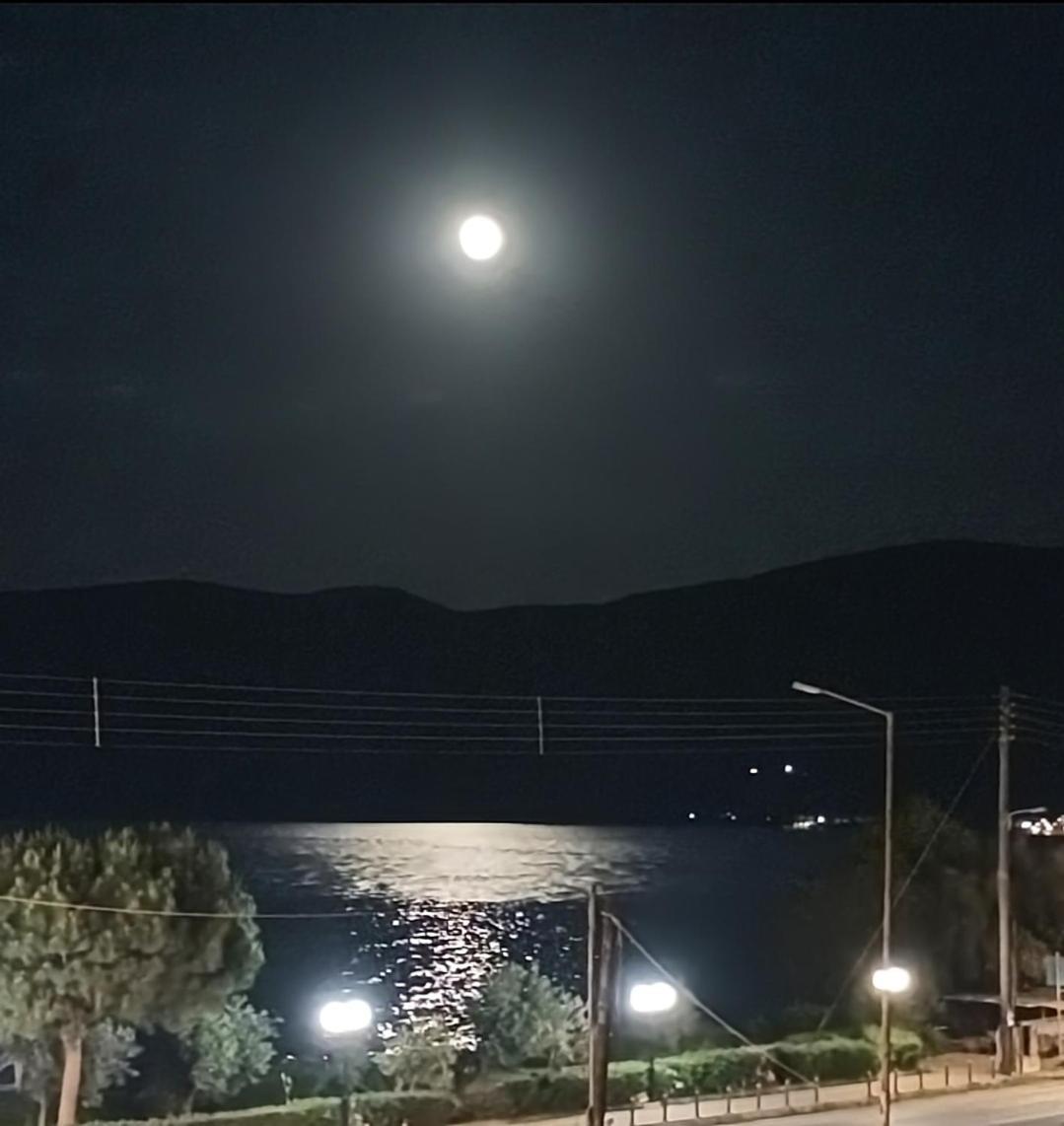 με θέα στη θάλασσα: * Loutra Oraias Elenis