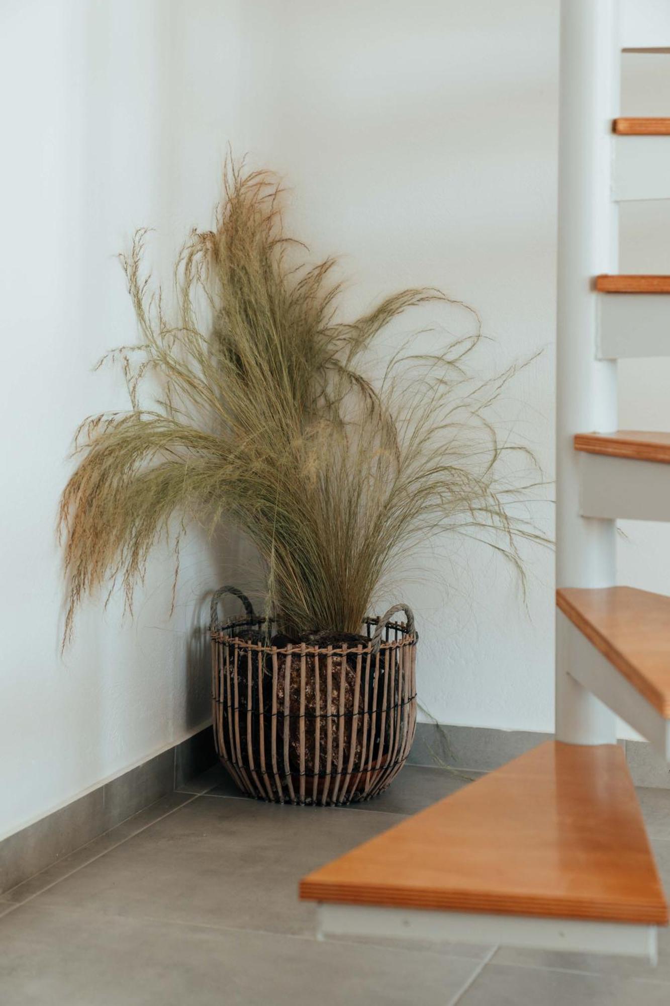 Apartment Armonia