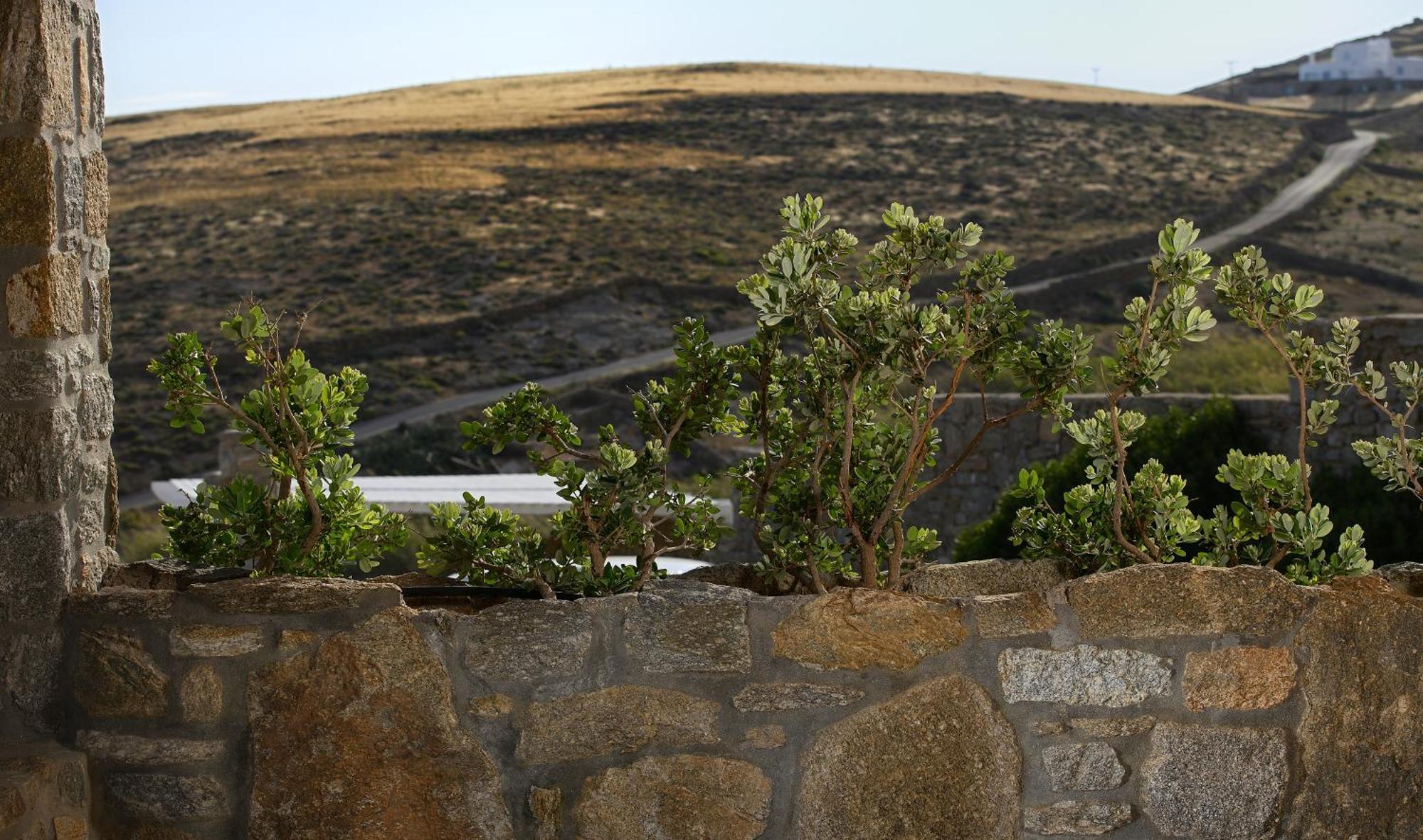Vlia Mykonos * Kalafatis