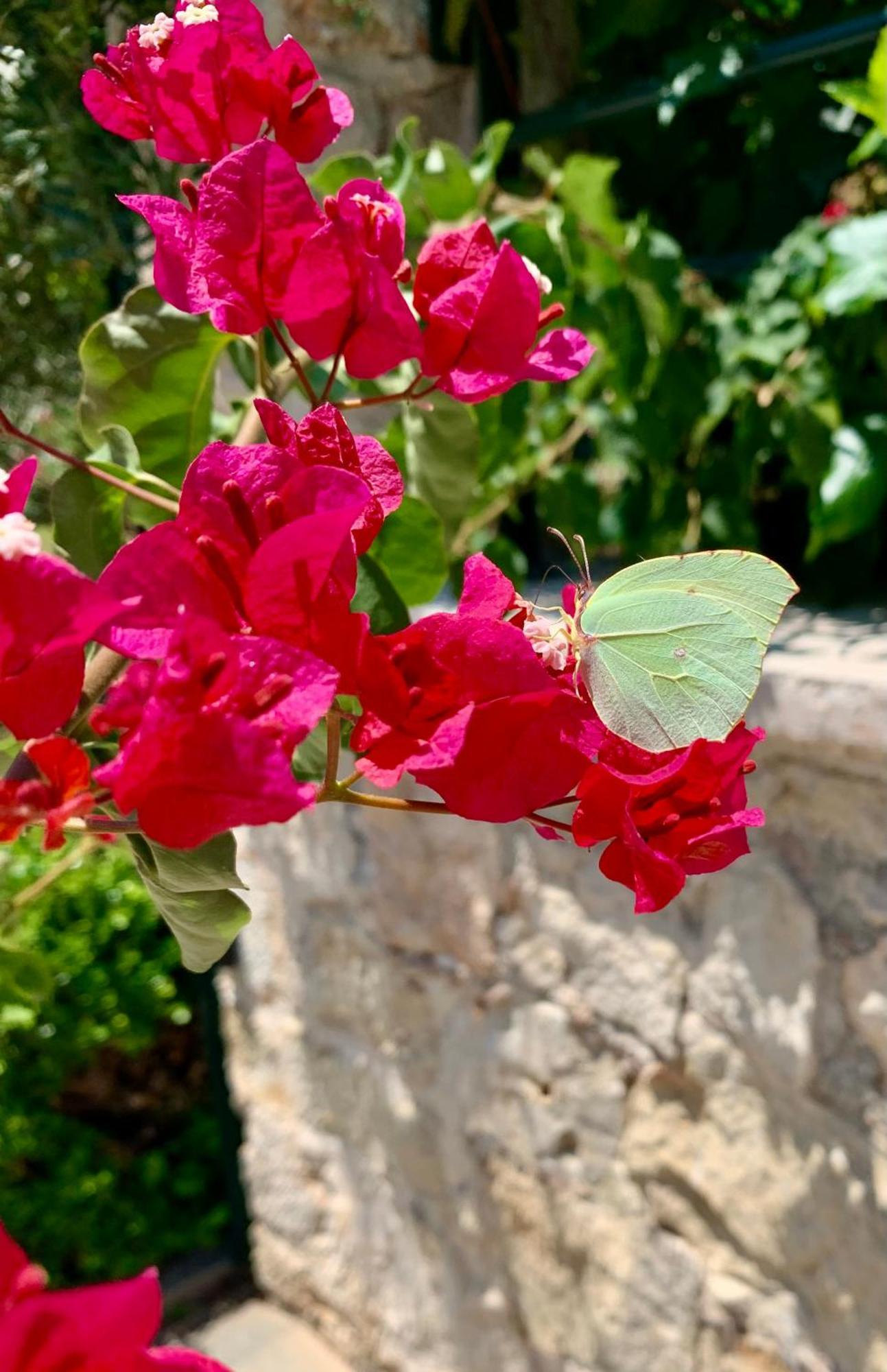 Aggelos And Thisbe Chania Suburbs Sea View Holiday home