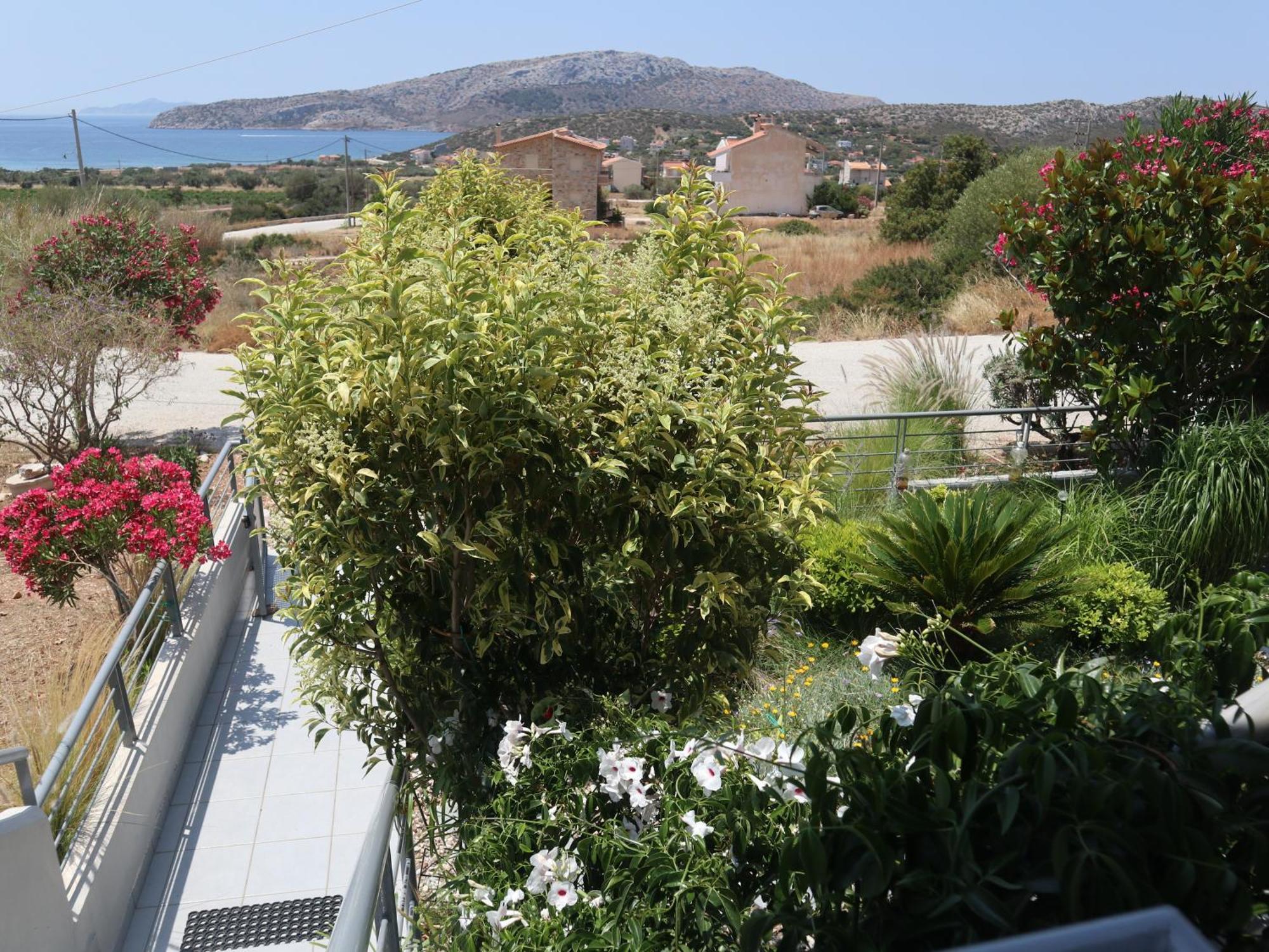 Apartment Patroclos Seaview