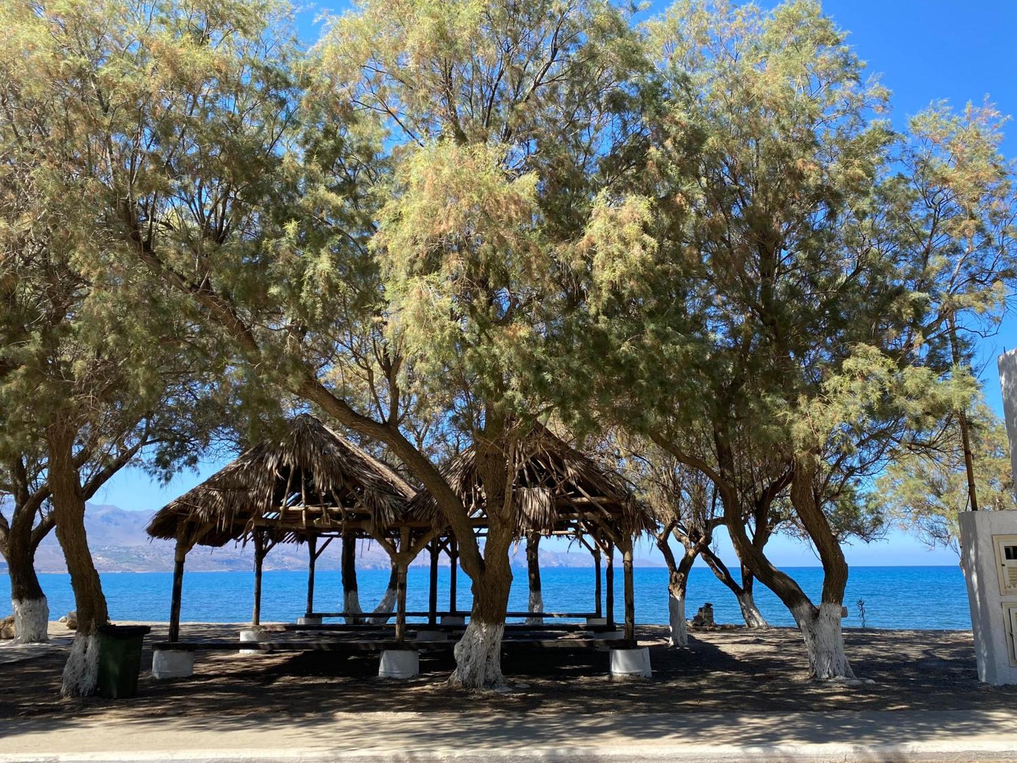 Holiday home Albama Darmarochori