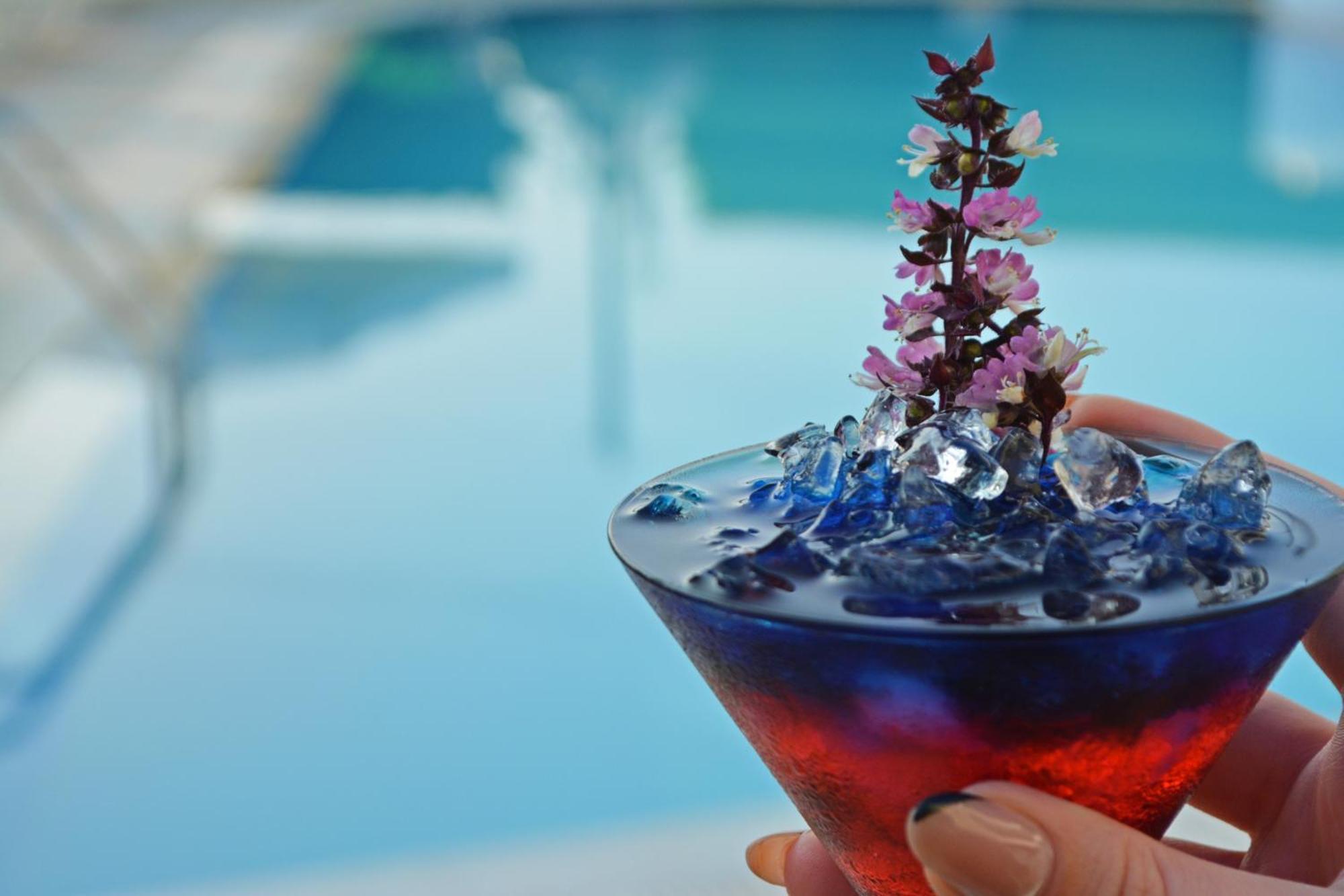 Angela Boutique Hotel Sissi (Crete)