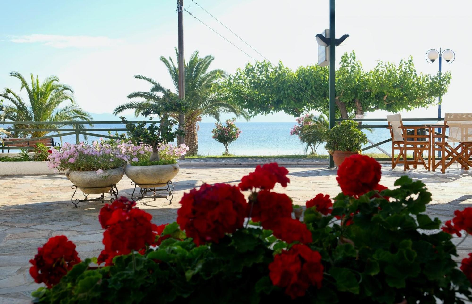 Lappas Guest house