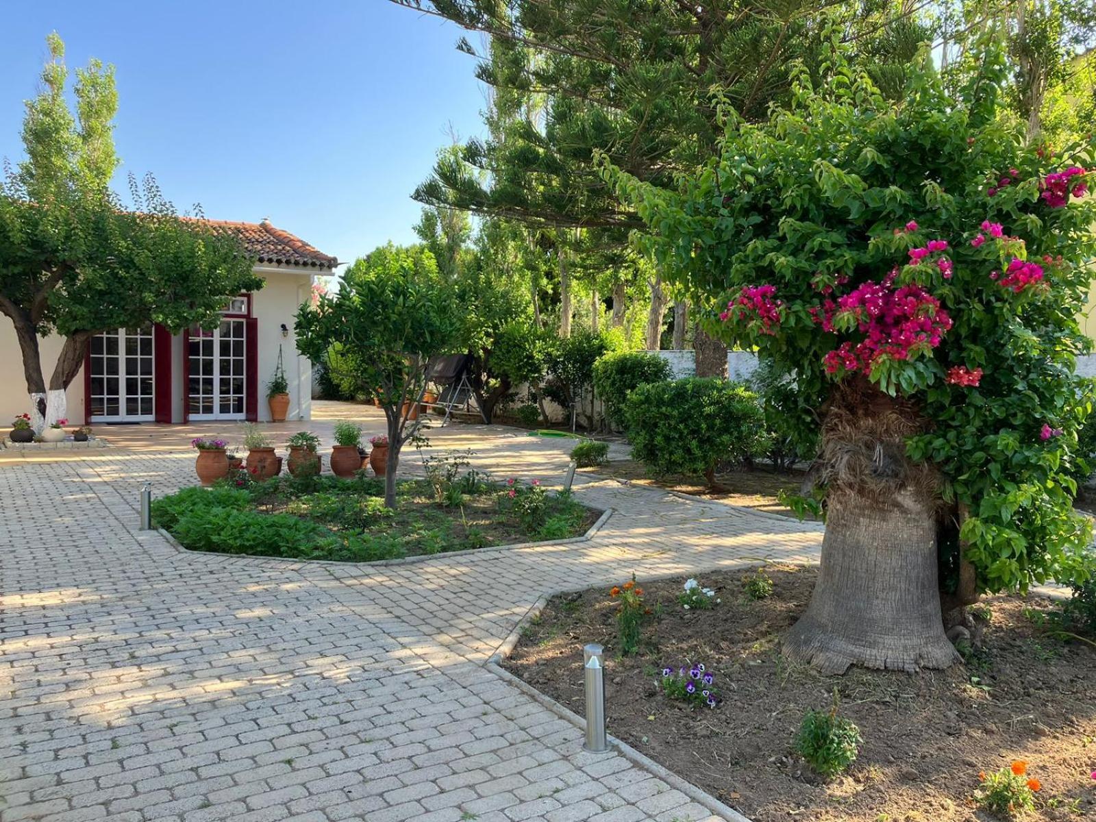 Mediterranean House With Beautiful Garden Villa Karlovassi