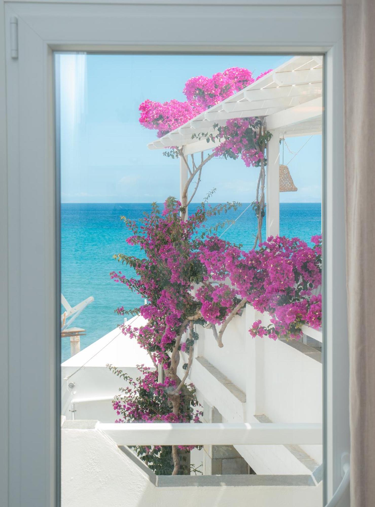Akrogiali Platis Gialos (Sifnos)