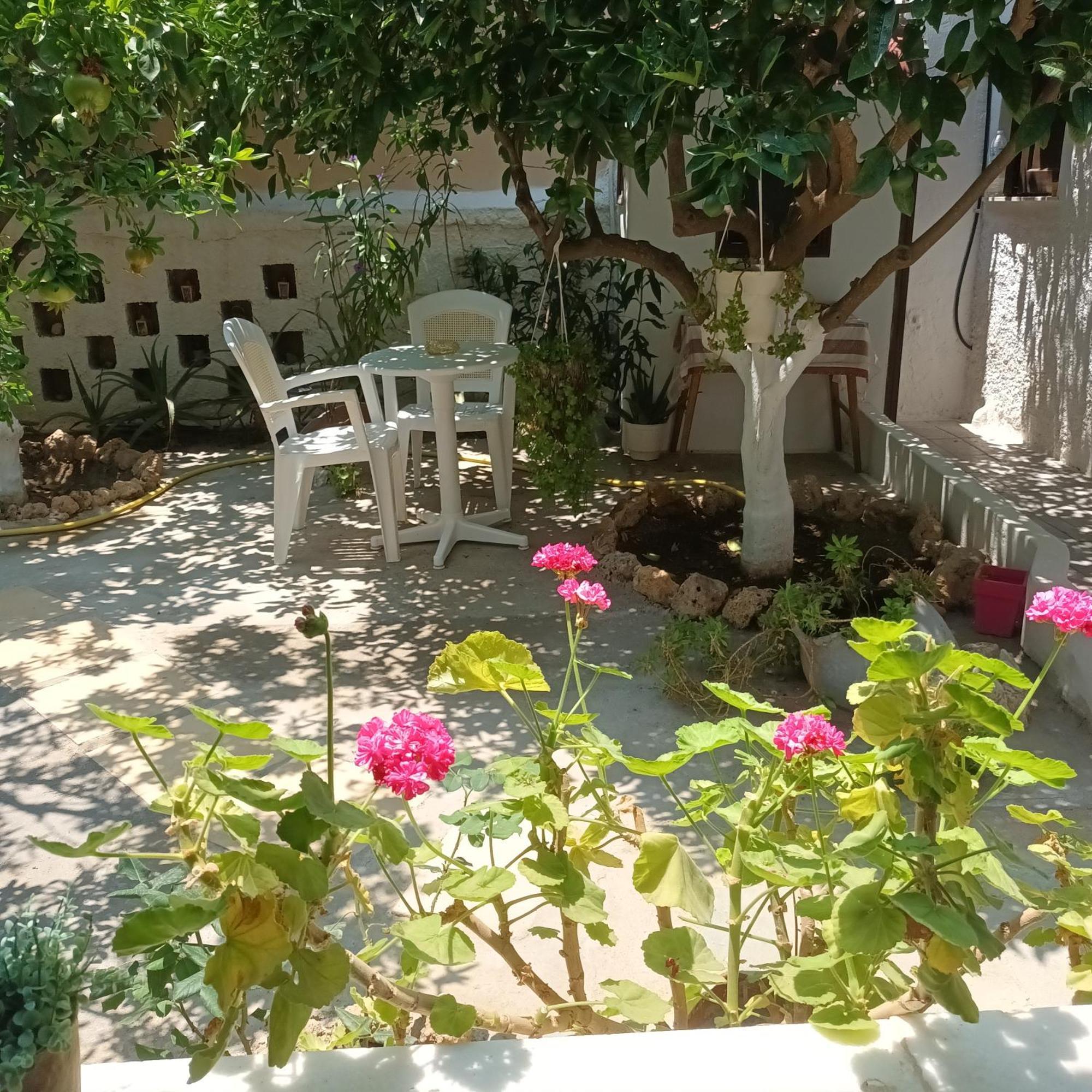 Magnolia Senses Apartment