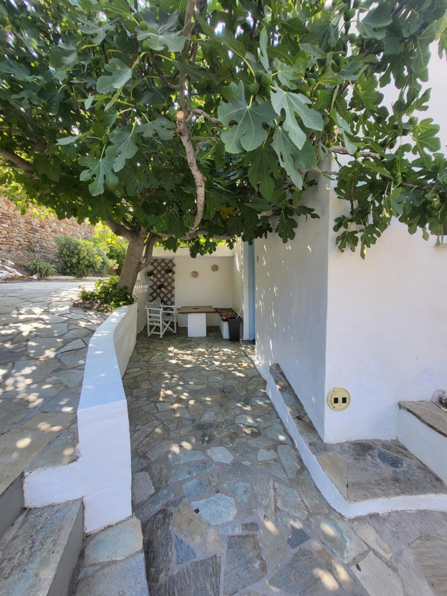 Ergina Apartment Chora (Ios)