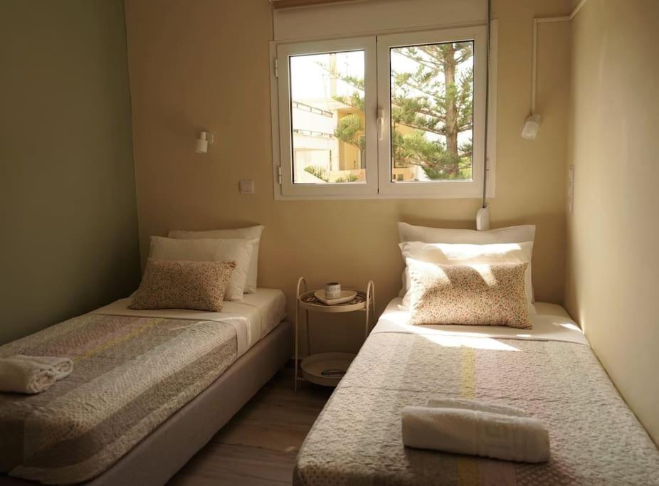 Frezia House *