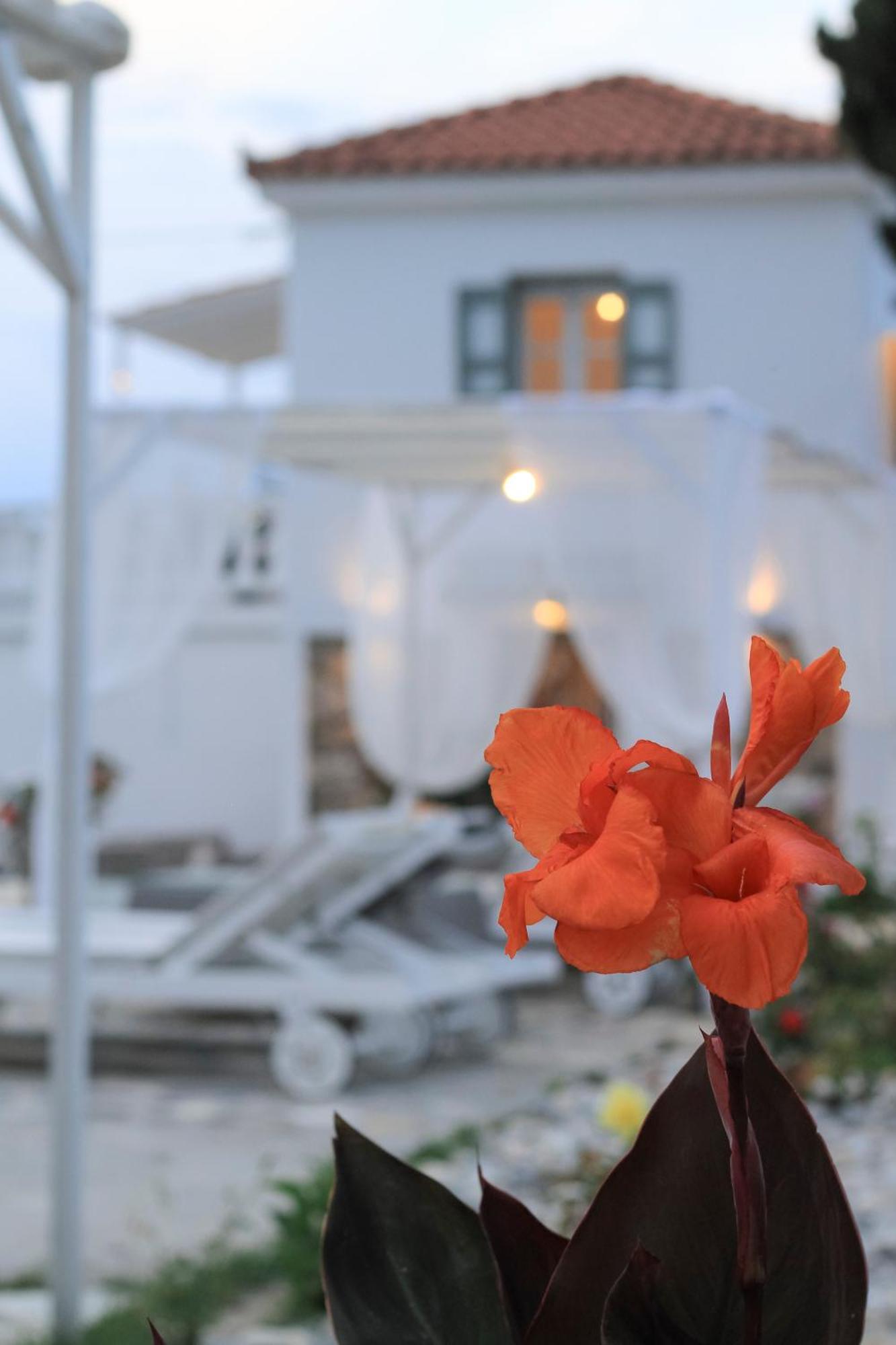 Villa Karavos Waterfront Skopelos Town