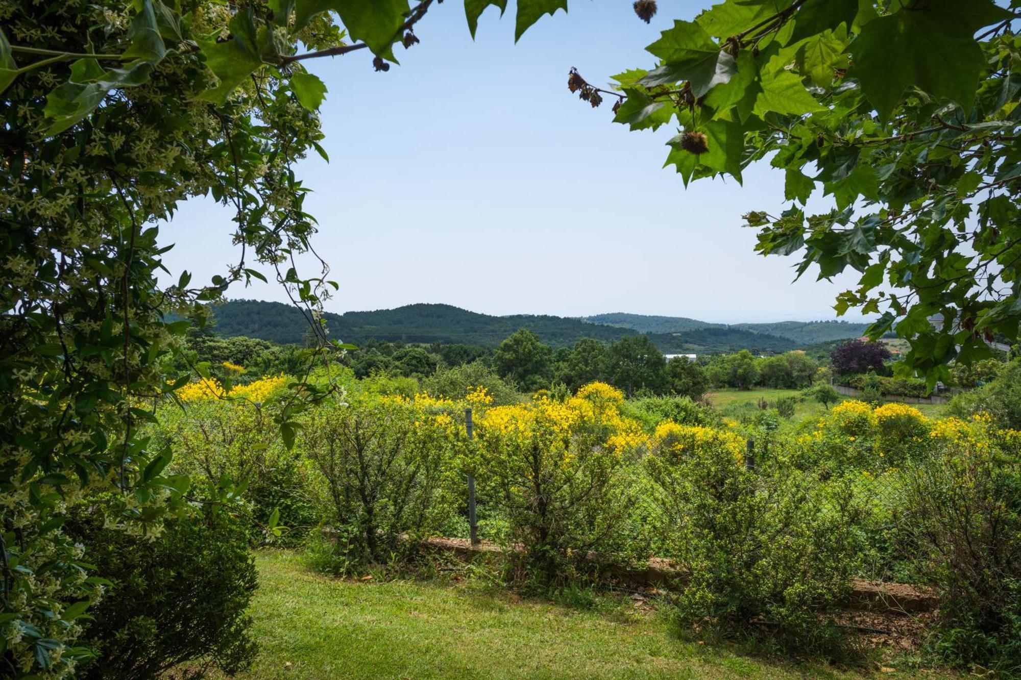 Country I & Country Ii Holiday home