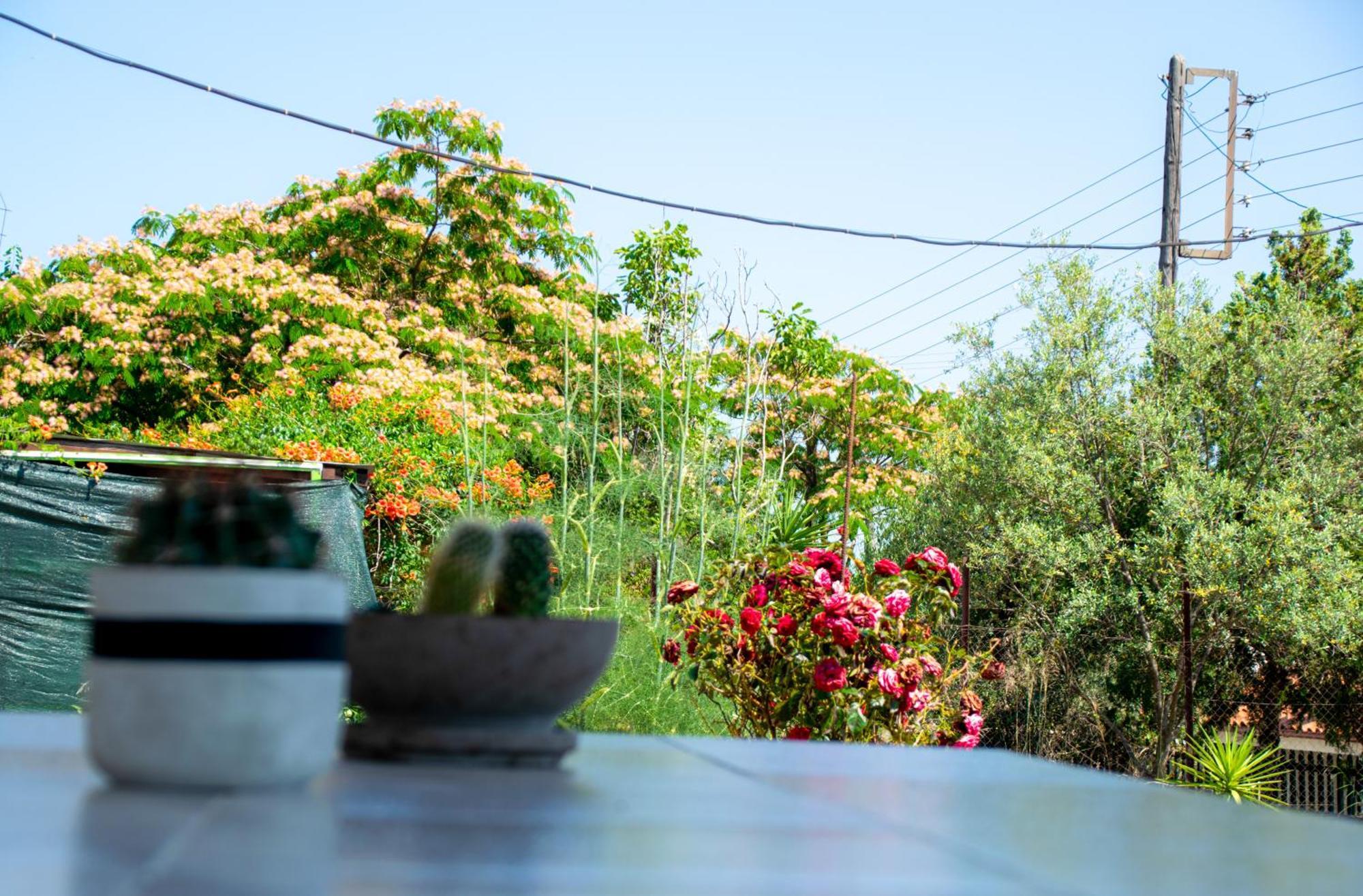 Holiday home Paradise Residency Nea Iraklitsa