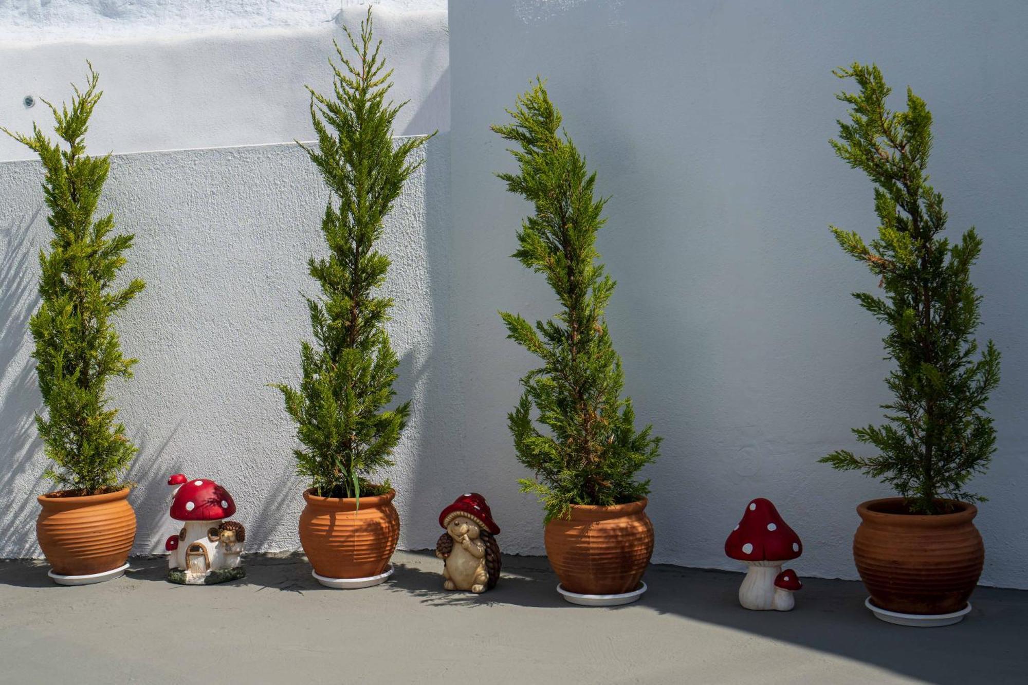 Santorita Suites *